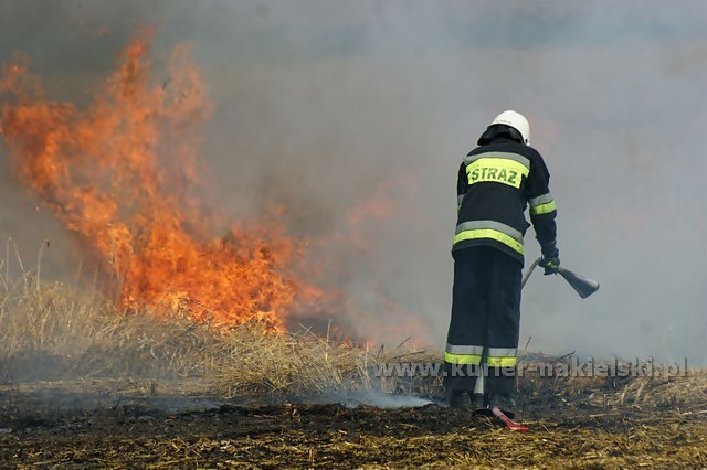 Spłonęło około 25 ha zboża na pniu