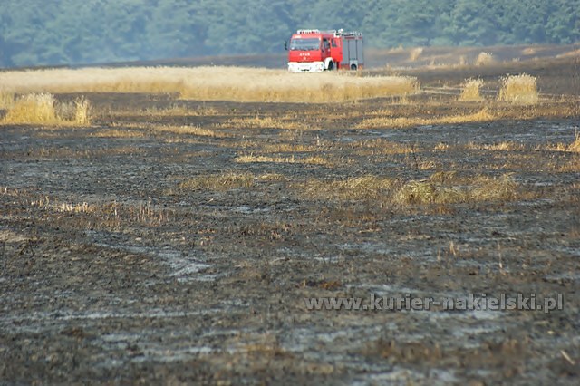 Spłonęło około 25 ha zboża na pniu