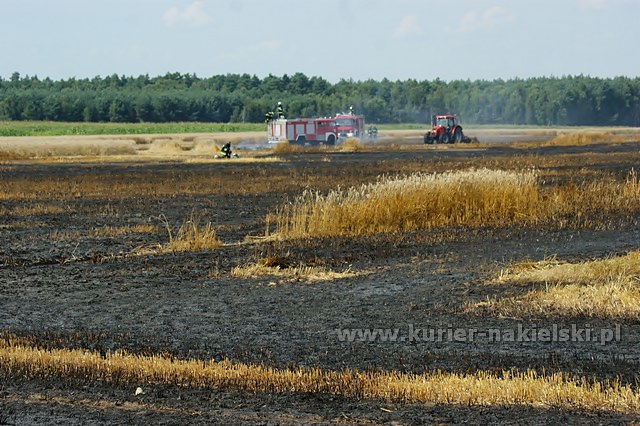 Spłonęło około 25 ha zboża na pniu