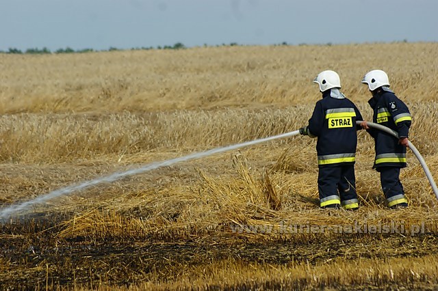 Spłonęło około 25 ha zboża na pniu
