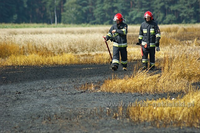 Spłonęło około 25 ha zboża na pniu