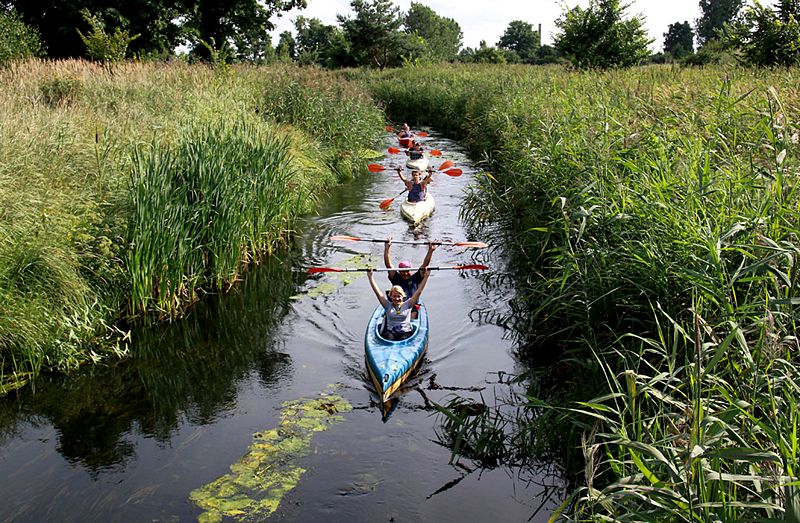 Wakacyjna przygoda z SIRR