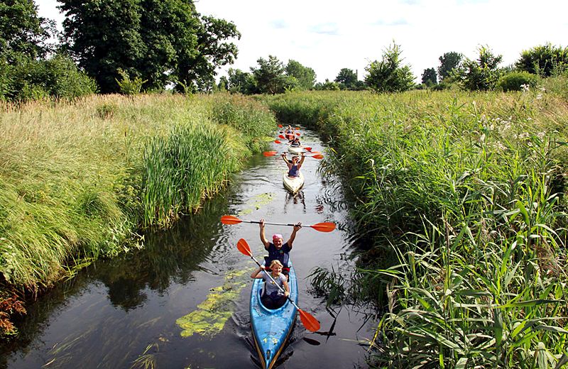 Wakacyjna przygoda z SIRR