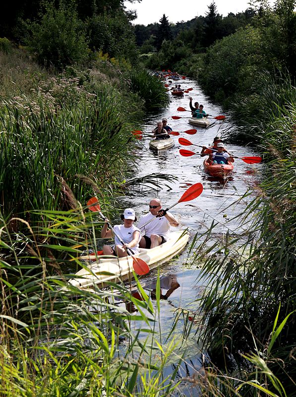 Wakacyjna przygoda z SIRR