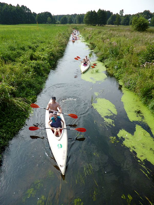 Wakacyjna przygoda z SIRR