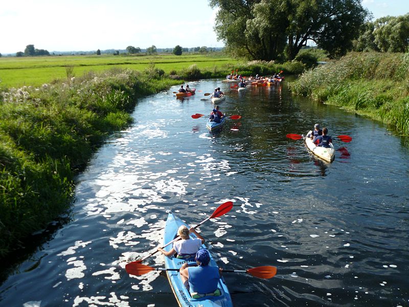 Wakacyjna przygoda z SIRR