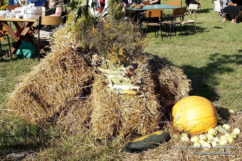 Dożynki parafialne w Szaradowie