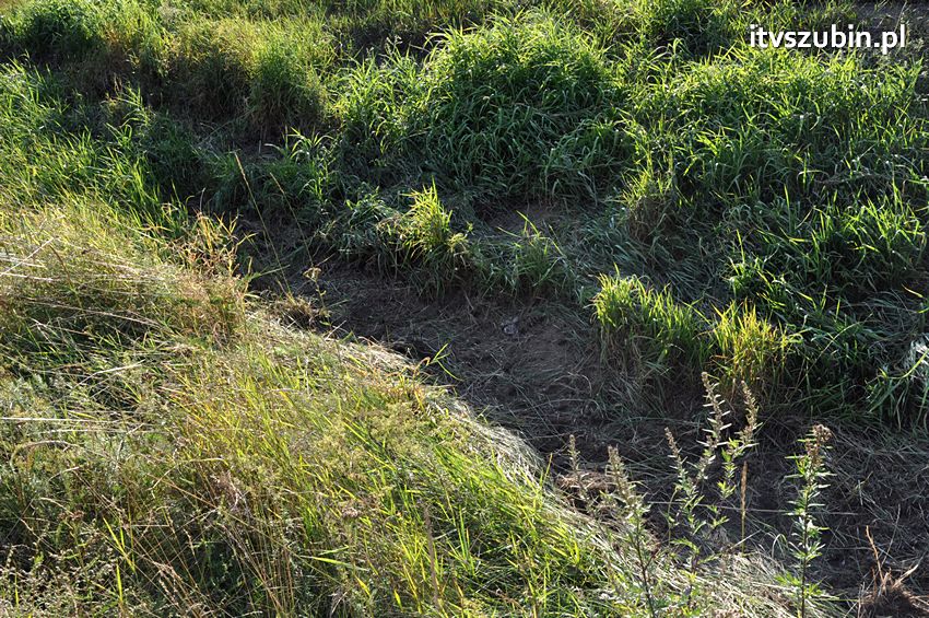 Informacje o zdarzeniach powstałych na terenie powiatu nakielskiego od 19.08.2013 do 25.08.2013 r.