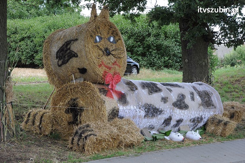 Dożynki gminne w Dąbrówce Słupskiej