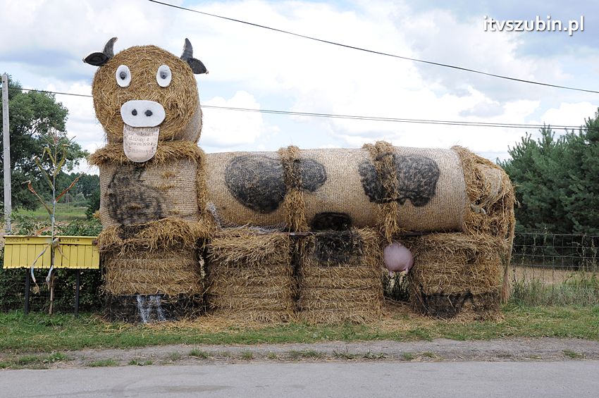 Dożynki gminne w Dąbrówce Słupskiej