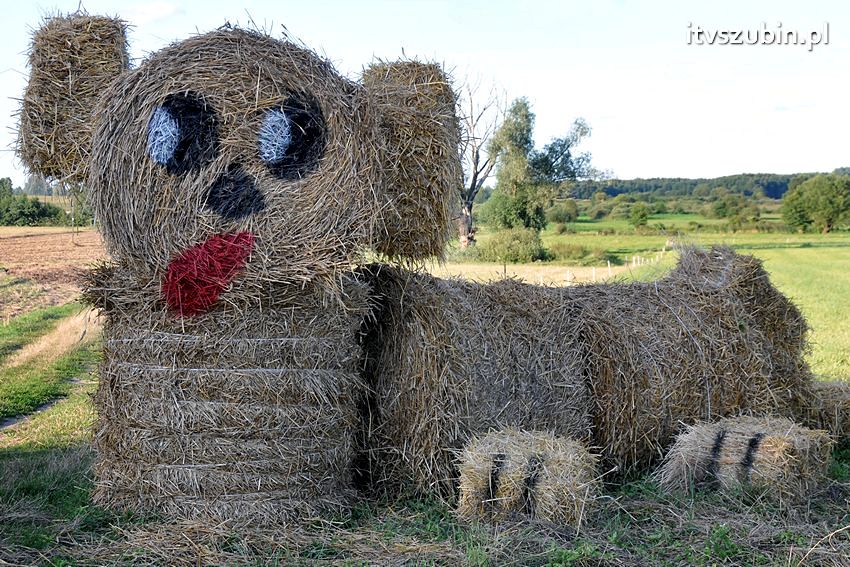 Dożynki gminne w Dąbrówce Słupskiej