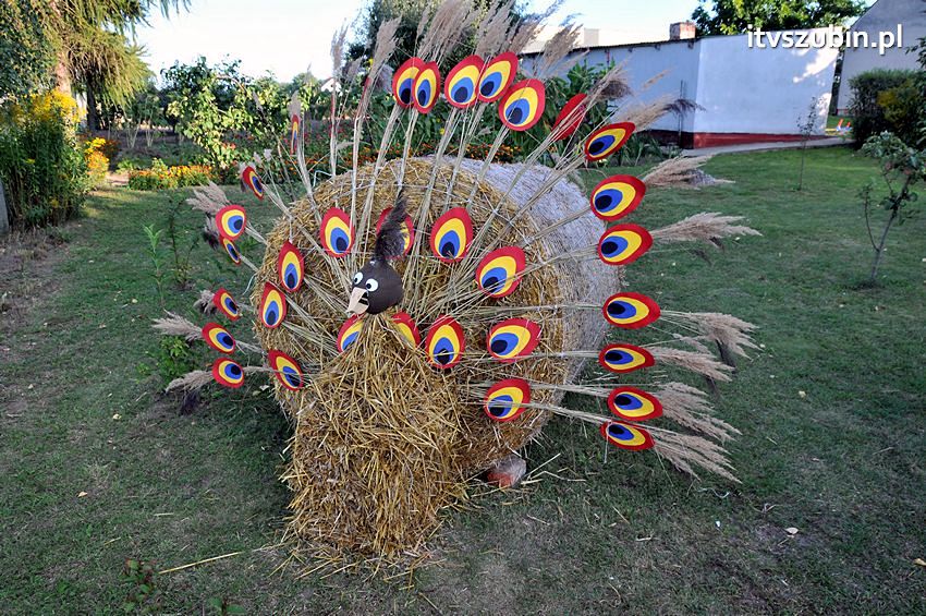 Dożynki gminne w Dąbrówce Słupskiej