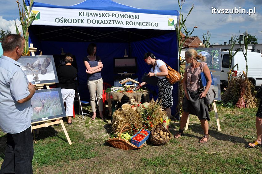 Dożynki gminne w Dąbrówce Słupskiej