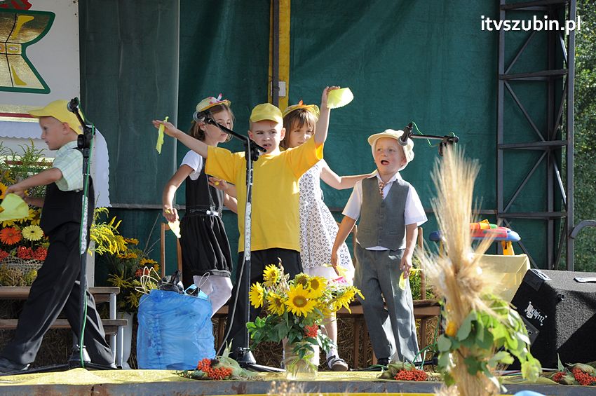 Dożynki gminne w Dąbrówce Słupskiej