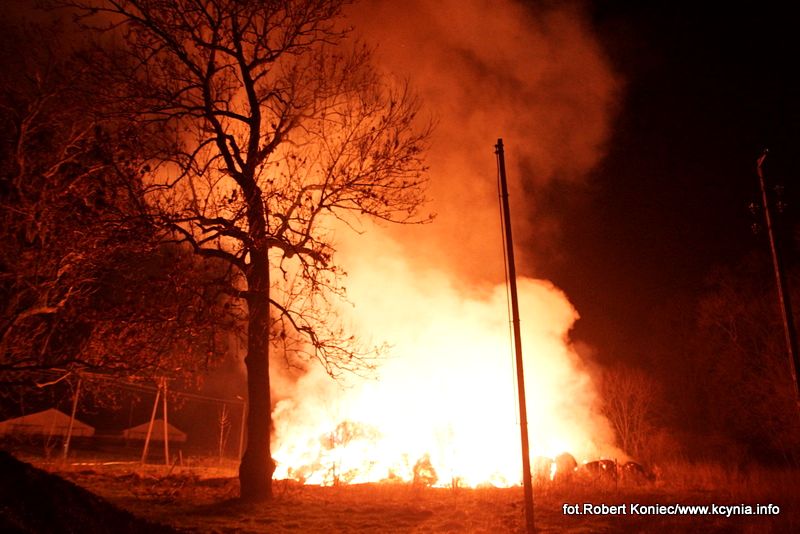 WIELKI POŻAR, którego nikt nie gasił, a kto podpalił? Zobacz film