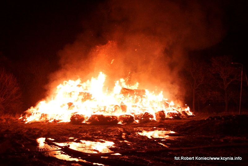 WIELKI POŻAR, którego nikt nie gasił, a kto podpalił? Zobacz film