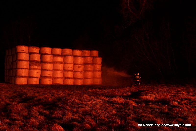 WIELKI POŻAR, którego nikt nie gasił, a kto podpalił? Zobacz film
