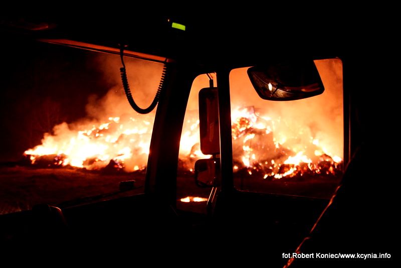 WIELKI POŻAR, którego nikt nie gasił, a kto podpalił? Zobacz film