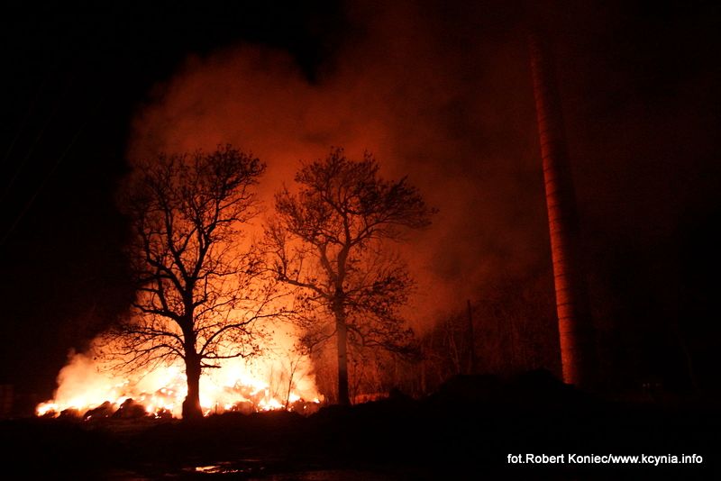 WIELKI POŻAR, którego nikt nie gasił, a kto podpalił? Zobacz film
