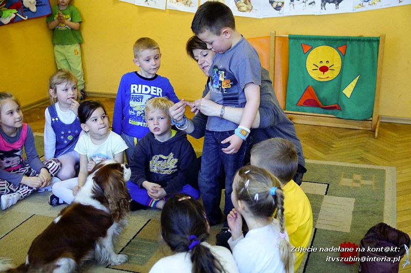 Spotkania z dogoterapeutą