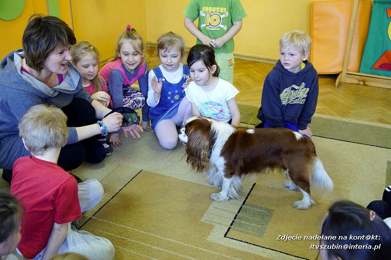 Spotkania z dogoterapeutą