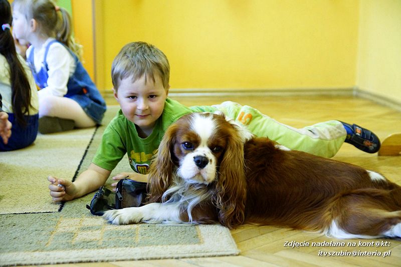 Spotkania z dogoterapeutą