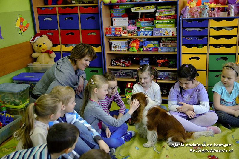 Spotkania z dogoterapeutą