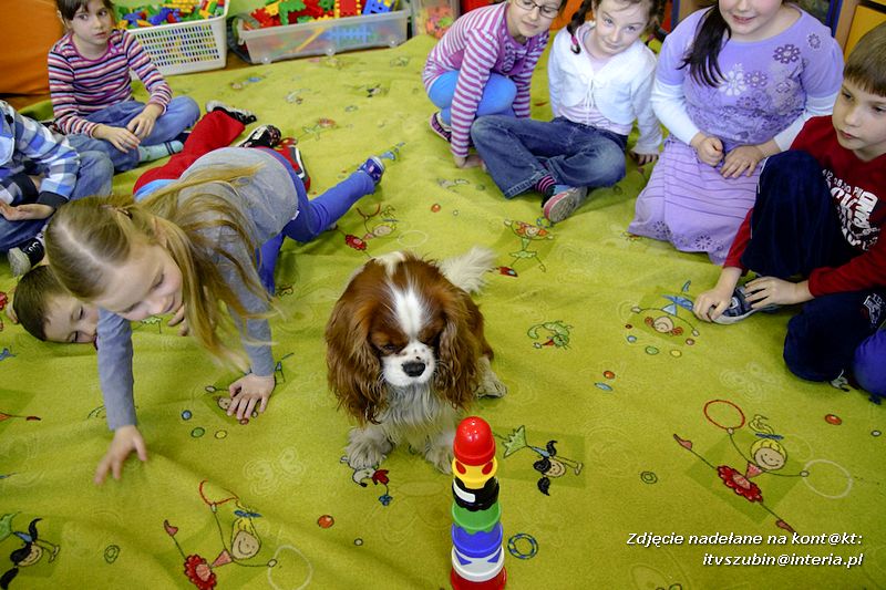 Spotkania z dogoterapeutą