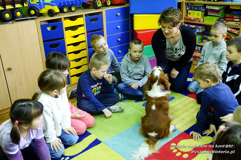 Spotkania z dogoterapeutą