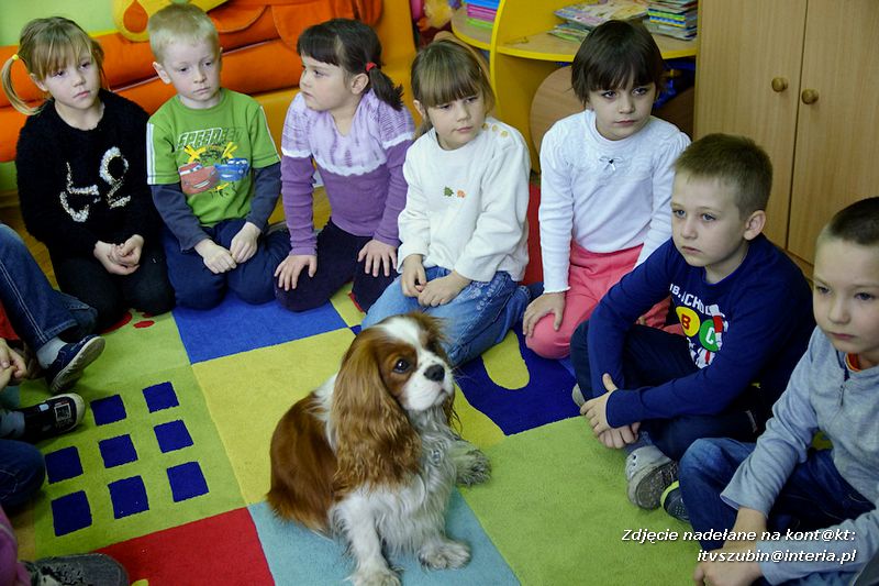 Spotkania z dogoterapeutą
