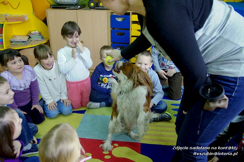Spotkania z dogoterapeutą