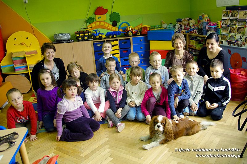 Spotkania z dogoterapeutą