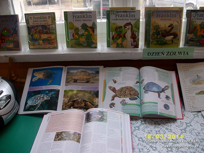 Dzień żółwia w szkolnej bibliotece w Kowalewie