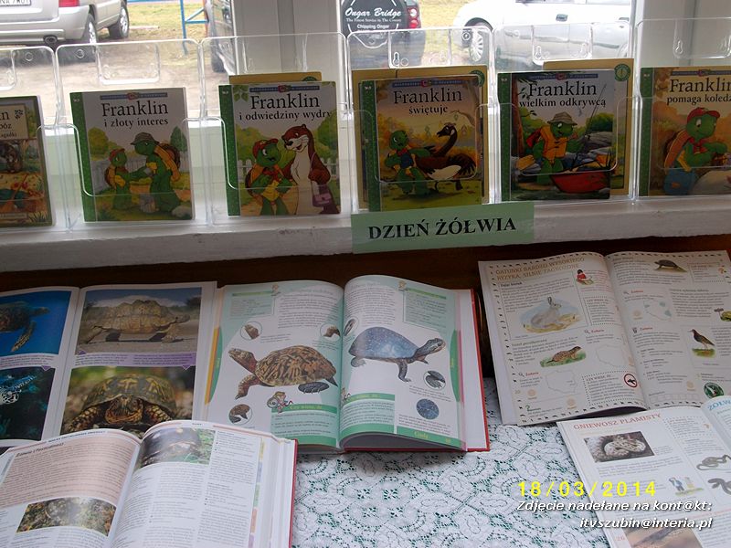 Dzień żółwia w szkolnej bibliotece w Kowalewie