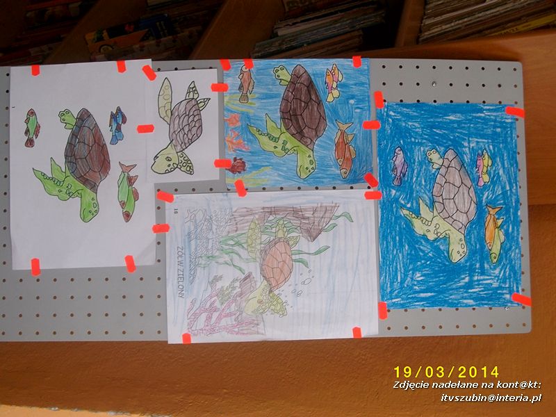 Dzień żółwia w szkolnej bibliotece w Kowalewie