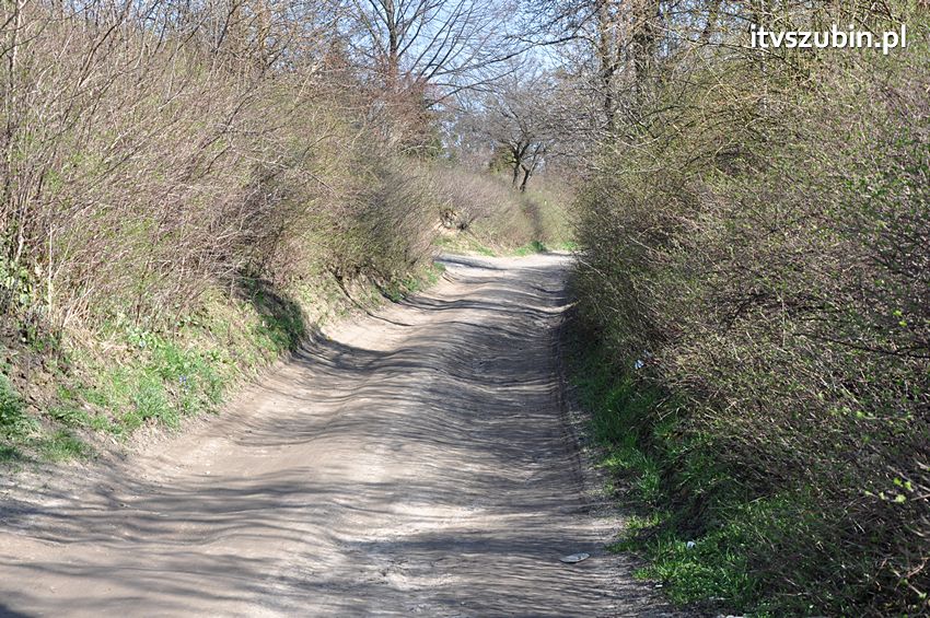 Marzenia czasami się spełniają