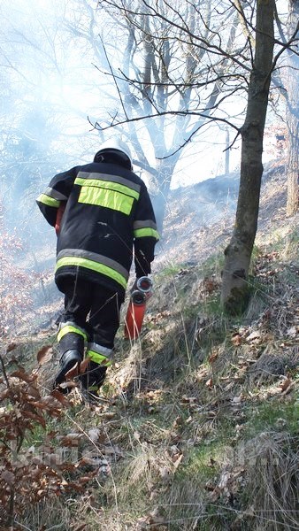 Spaliło się 0,5 ha poszycia młodnika