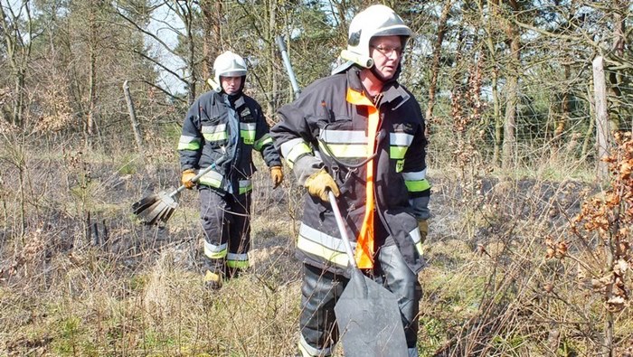 Spaliło się 0,5 ha poszycia młodnika