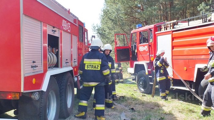Spaliło się 0,5 ha poszycia młodnika