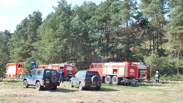 Spaliło się 0,5 ha poszycia młodnika
