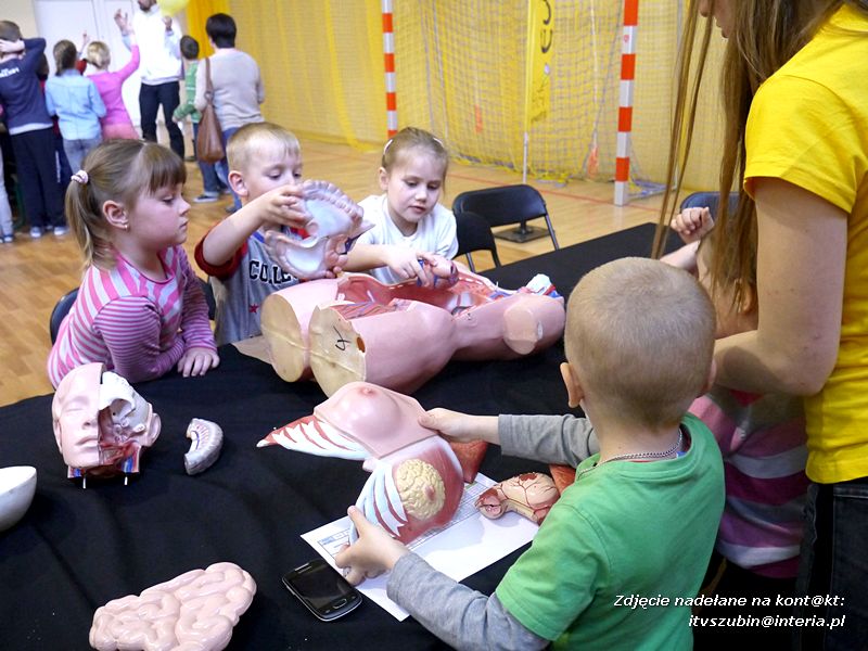 Trzy ofiary śmiertelne wypadku na obwodnicy Szubina