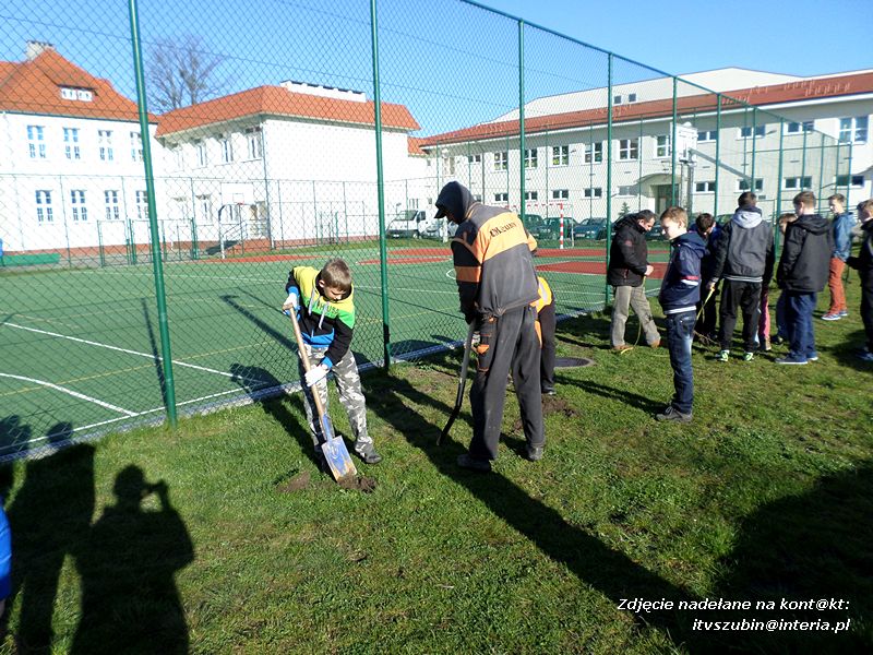 100 drzew na 100-lecie szkoły