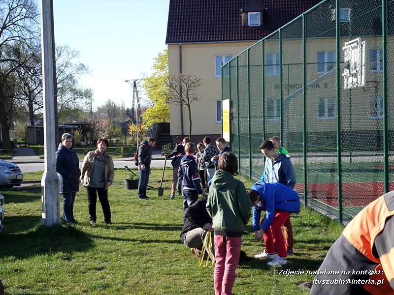 100 drzew na 100-lecie szkoły