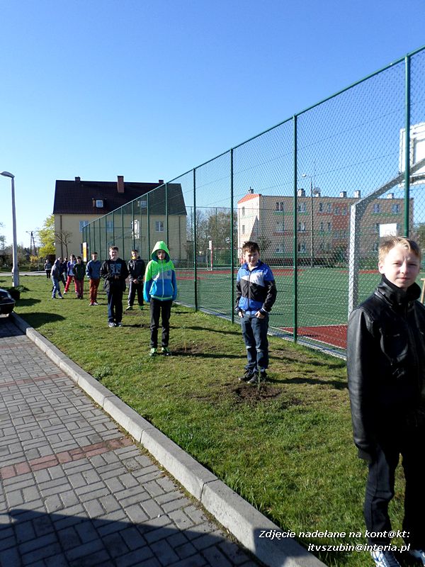 100 drzew na 100-lecie szkoły