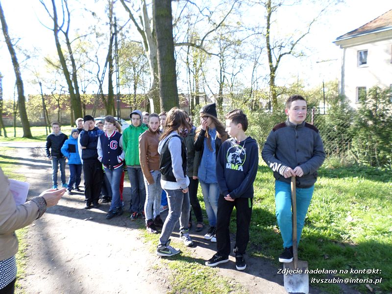 100 drzew na 100-lecie szkoły