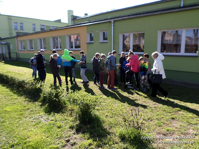 100 drzew na 100-lecie szkoły