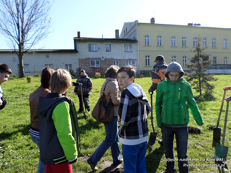 100 drzew na 100-lecie szkoły