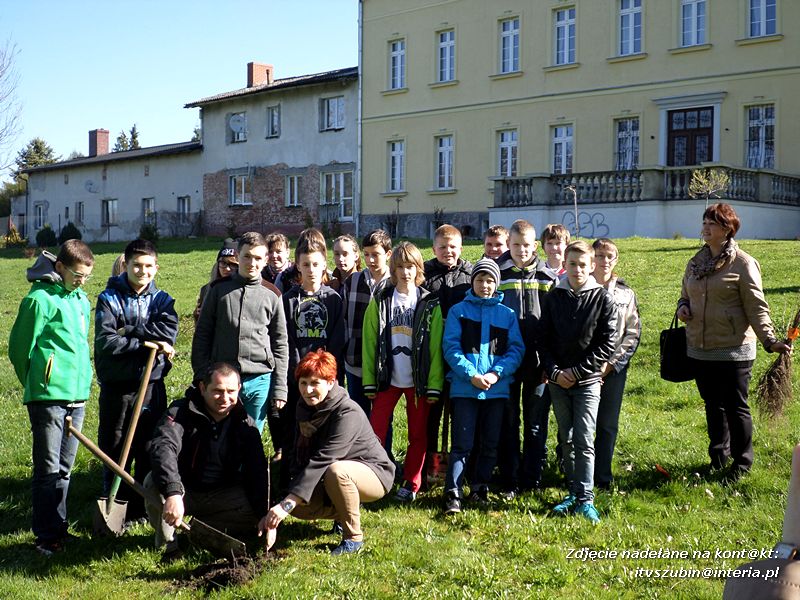 100 drzew na 100-lecie szkoły