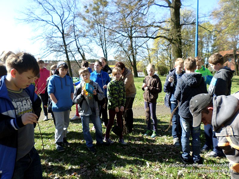 100 drzew na 100-lecie szkoły