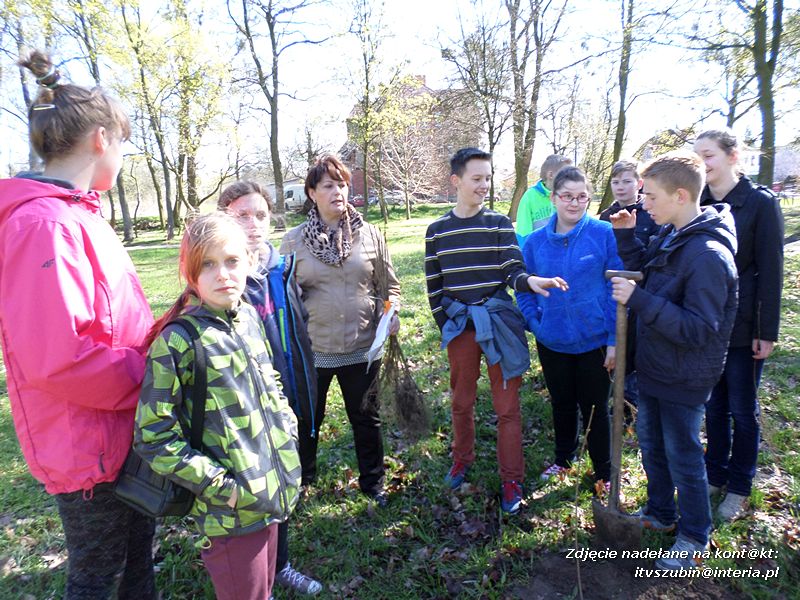 100 drzew na 100-lecie szkoły